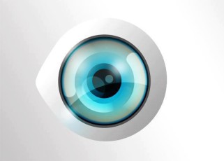 big brother 6 - androappinfo